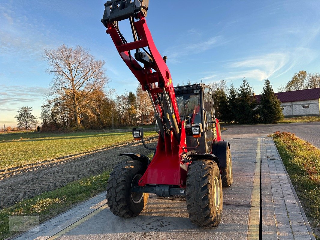 Radlader a típus Weidemann  3080 LP, Gebrauchtmaschine ekkor: Prenzlau (Kép 7)