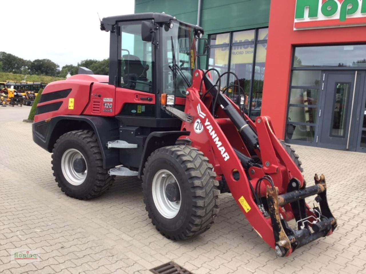 Radlader of the type Yanmar V120/5, Gebrauchtmaschine in Bakum (Picture 2)