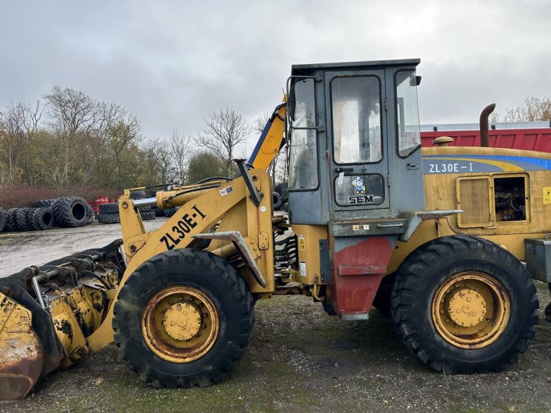 Radlader del tipo Zettelmeyer ZL30E-I, Gebrauchtmaschine en Randers SV (Imagen 1)