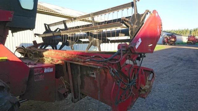 Rapsschneidwerk van het type Case IH 13, Gebrauchtmaschine in Hemmet (Foto 8)