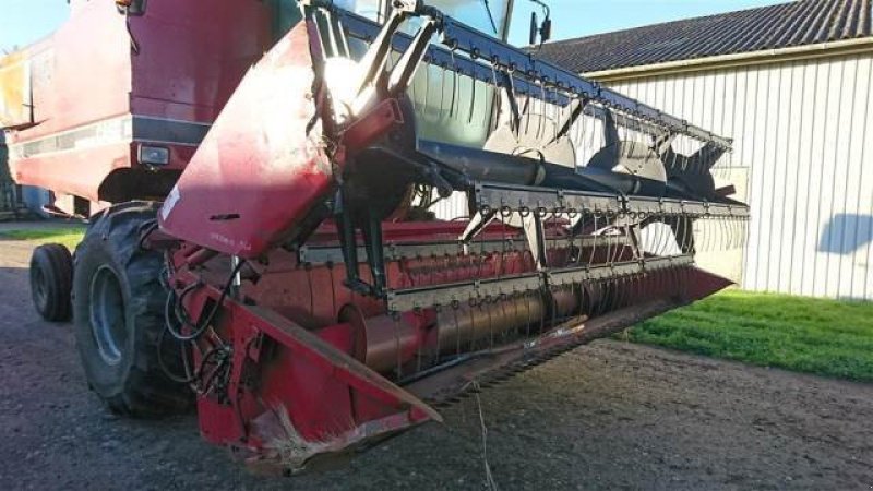 Rapsschneidwerk van het type Case IH 13, Gebrauchtmaschine in Hemmet (Foto 6)