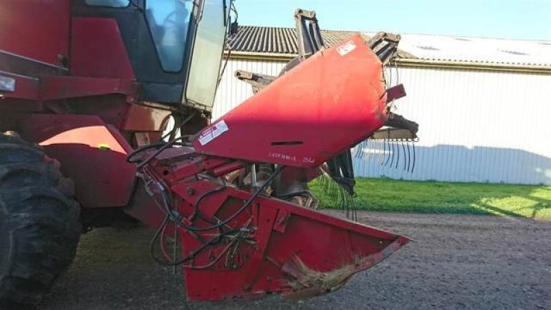 Rapsschneidwerk van het type Case IH 13, Gebrauchtmaschine in Hemmet (Foto 7)