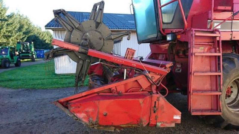 Rapsschneidwerk typu Case IH 13, Gebrauchtmaschine v Hemmet (Obrázek 2)