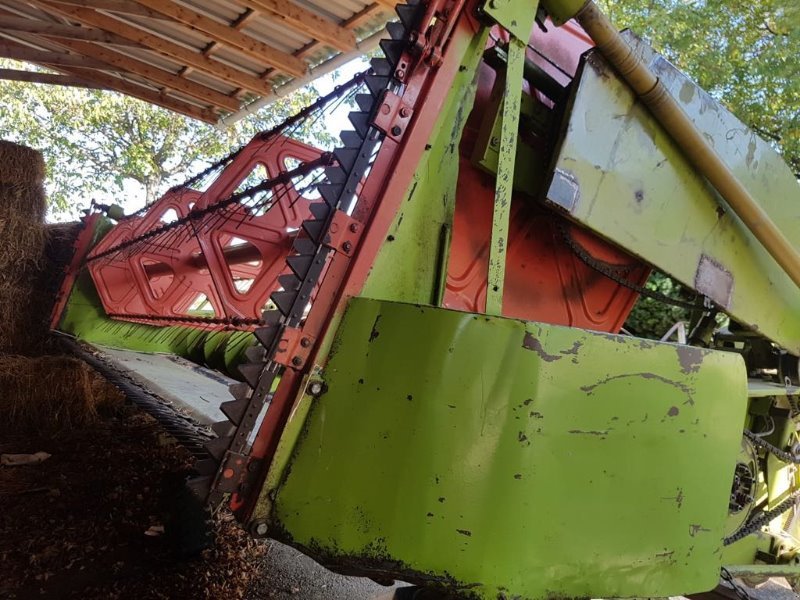 Rapsschneidwerk del tipo CLAAS 5,10 m Rapstisch, Gebrauchtmaschine In Schutterzell (Immagine 1)