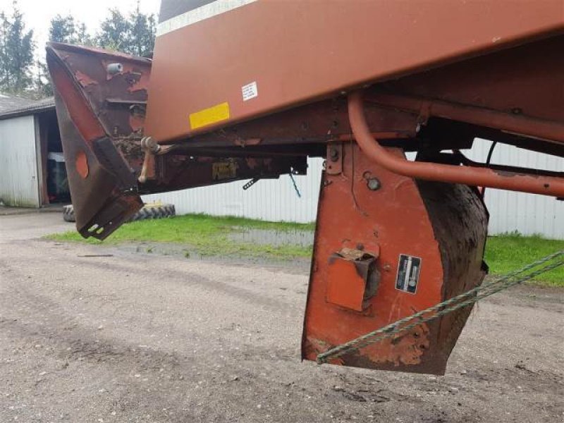 Rapsschneidwerk tipa Laverda 3650, Gebrauchtmaschine u Hemmet (Slika 2)