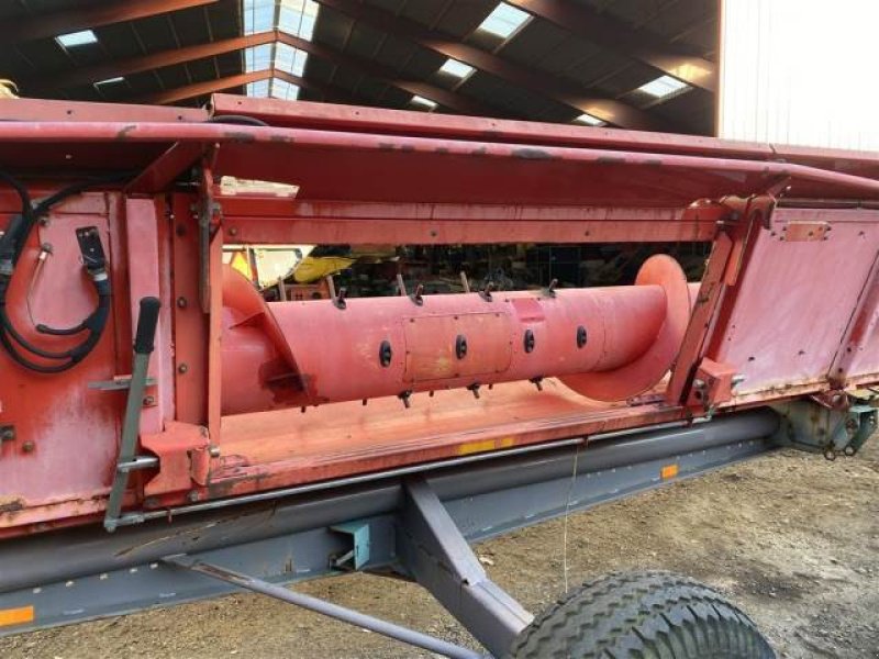 Rapsschneidwerk tipa Massey Ferguson 22 Freeflow, Gebrauchtmaschine u Hemmet (Slika 2)