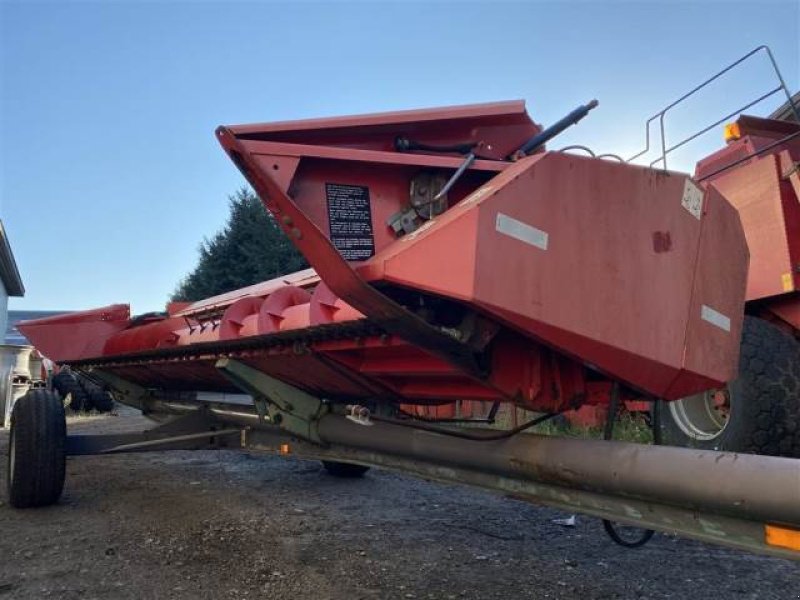 Rapsschneidwerk des Typs Massey Ferguson 22 Freeflow, Gebrauchtmaschine in Hemmet (Bild 5)