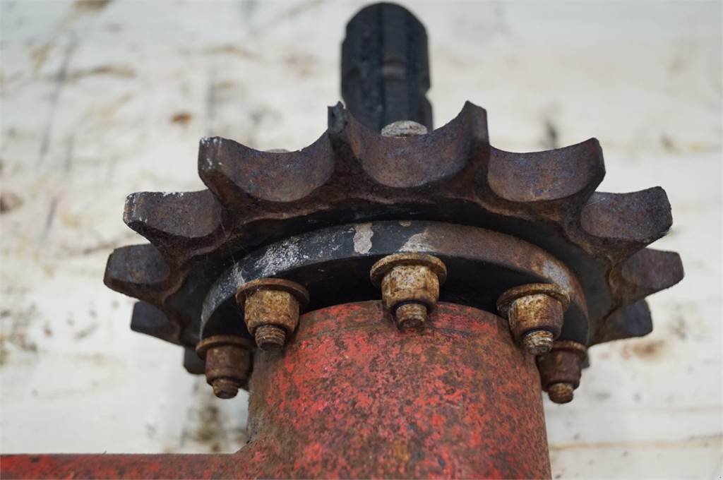 Rapsschneidwerk van het type Massey Ferguson 38, Gebrauchtmaschine in Hemmet (Foto 10)