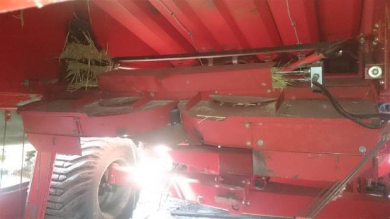 Rapsschneidwerk a típus Massey Ferguson 40, Gebrauchtmaschine ekkor: Hemmet (Kép 3)