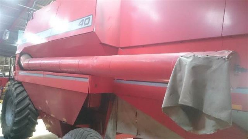 Rapsschneidwerk za tip Massey Ferguson 40, Gebrauchtmaschine u Hemmet (Slika 2)