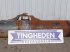 Rapsschneidwerk del tipo New Holland CR10.90, Gebrauchtmaschine In Hemmet (Immagine 1)