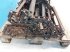 Rapsschneidwerk del tipo New Holland CR10.90, Gebrauchtmaschine In Hemmet (Immagine 8)