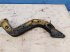 Rapsschneidwerk del tipo New Holland CR10.90, Gebrauchtmaschine In Hemmet (Immagine 7)