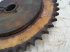 Rapsschneidwerk za tip New Holland Falihd, Gebrauchtmaschine u Hemmet (Slika 7)