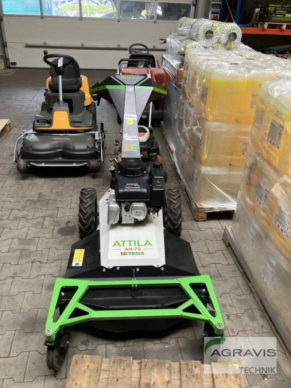 Rasenmäher типа Etesia ATTILA AH 75, Neumaschine в Lage (Фотография 3)