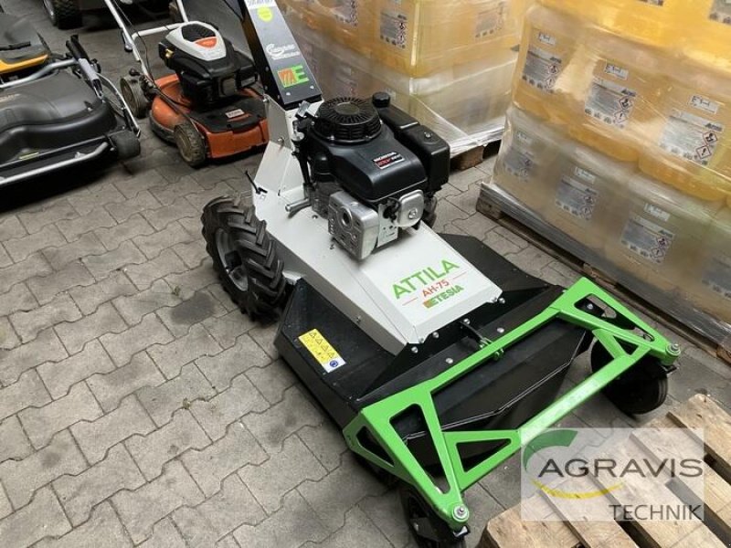 Rasenmäher of the type Etesia ATTILA AH 75, Neumaschine in Lage (Picture 2)