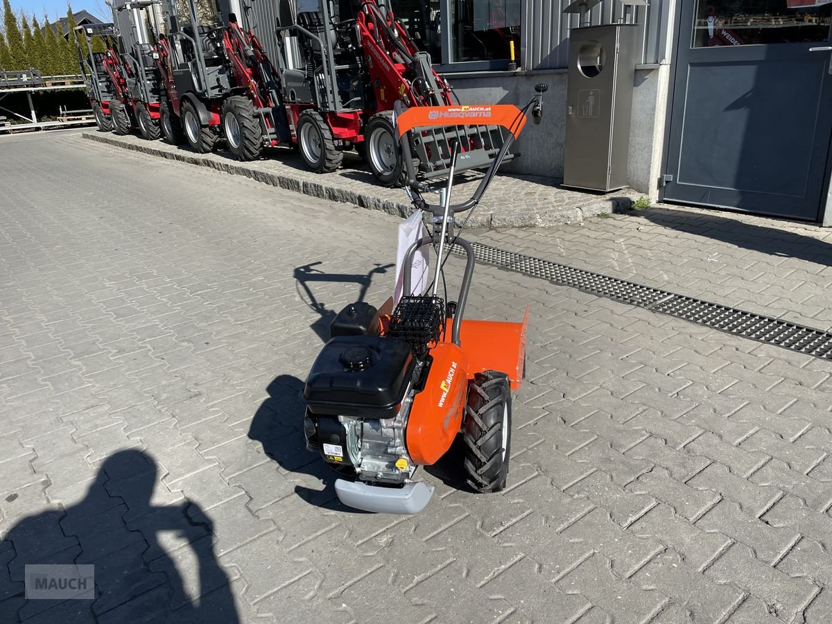 Rasenmäher типа Husqvarna Motorhacke TR348 mit Antrieb / Umkehrfräse, Neumaschine в Burgkirchen (Фотография 9)