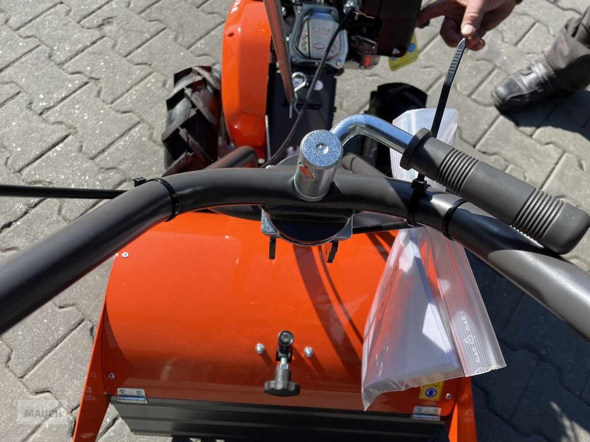 Rasenmäher του τύπου Husqvarna Motorhacke TR348 mit Antrieb / Umkehrfräse, Neumaschine σε Burgkirchen (Φωτογραφία 2)