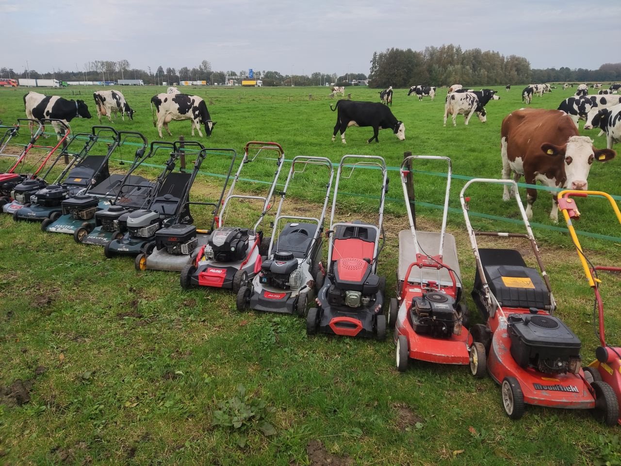 Rasenmäher del tipo Sonstige Viking / Toro / Stiga diverse, Gebrauchtmaschine en Klarenbeek (Imagen 2)