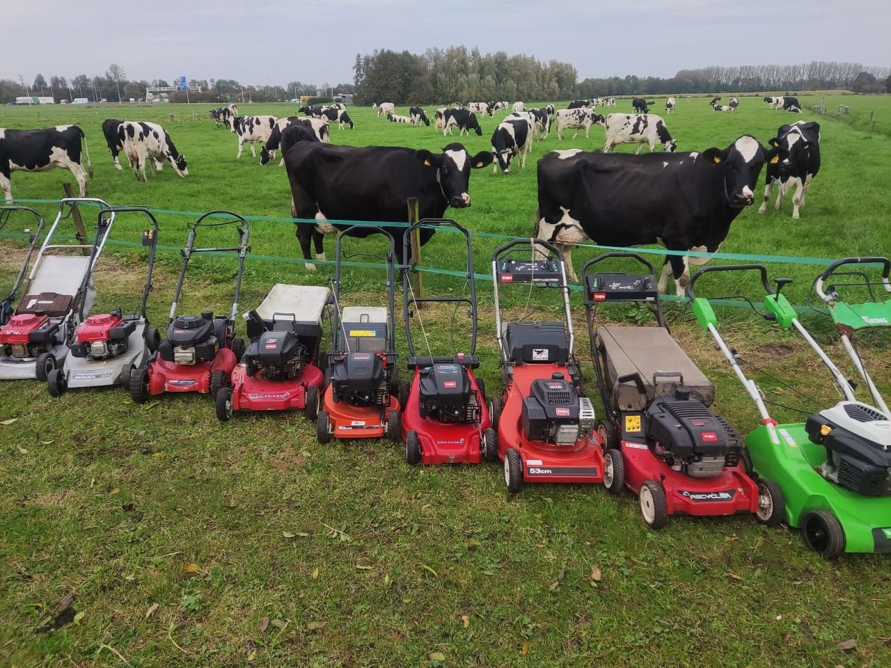 Rasenmäher typu Sonstige Viking / Toro / Stiga diverse, Gebrauchtmaschine v Klarenbeek (Obrázok 5)