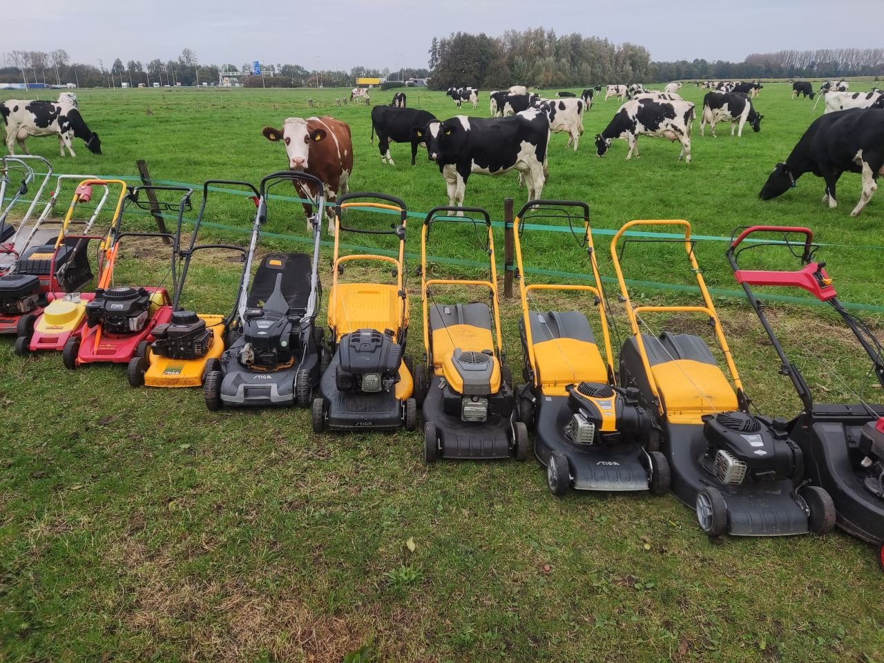 Rasenmäher typu Sonstige Viking / Toro / Stiga diverse, Gebrauchtmaschine v Klarenbeek (Obrázek 4)