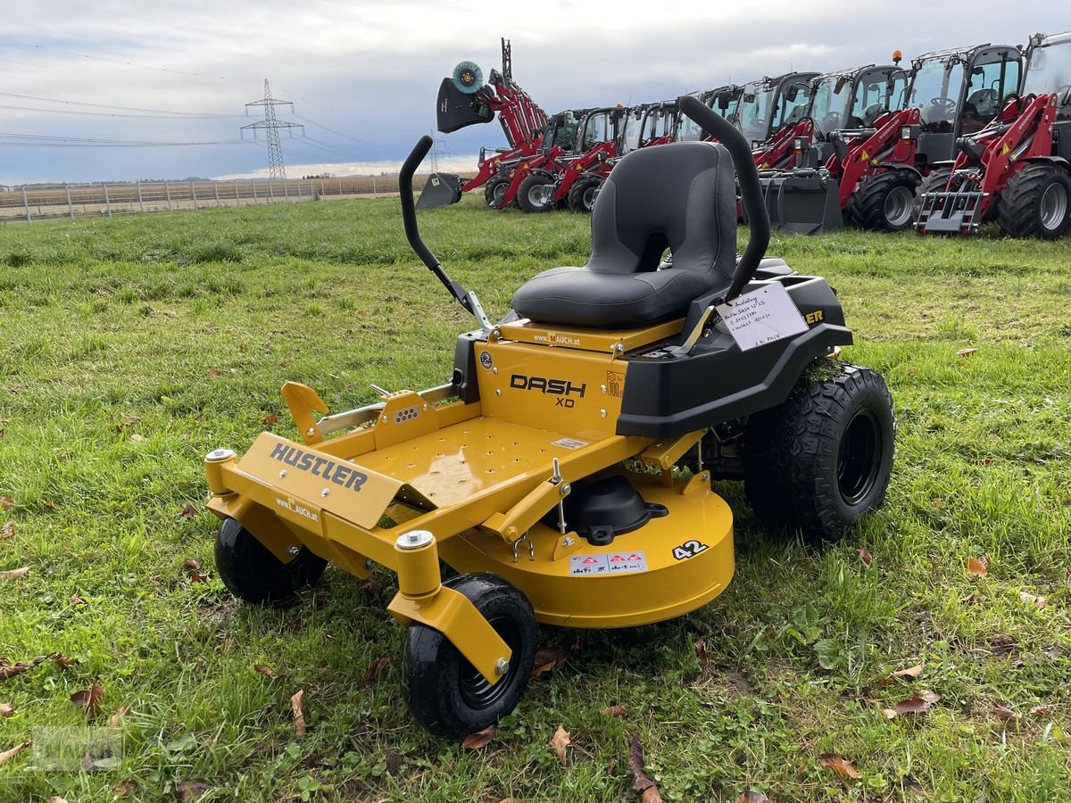 Rasentraktor del tipo Hustler  Dash XD 42 mit 107cm Vorführer, Vorführmaschine In Burgkirchen (Immagine 1)