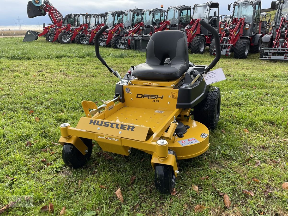 Rasentraktor of the type Hustler  Dash XD 42 mit 107cm Vorführer, Vorführmaschine in Burgkirchen (Picture 10)