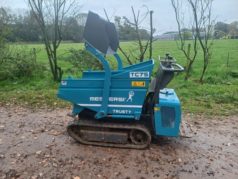 Raupendumper a típus Messersi CH-2/H315/MT, Gebrauchtmaschine ekkor: Terschuur