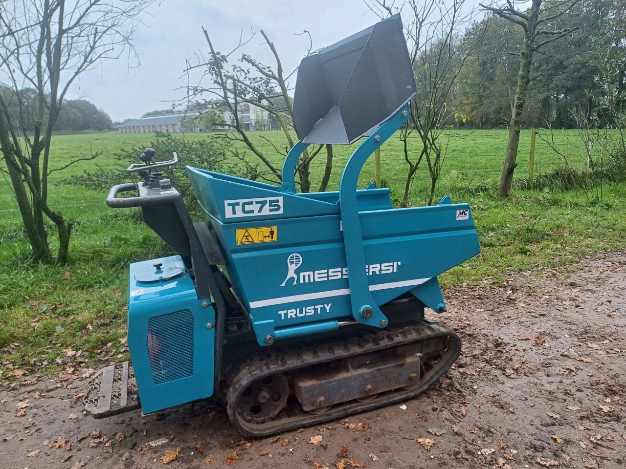 Raupendumper del tipo Messersi CH-2/H315/MT, Gebrauchtmaschine In Terschuur (Immagine 5)