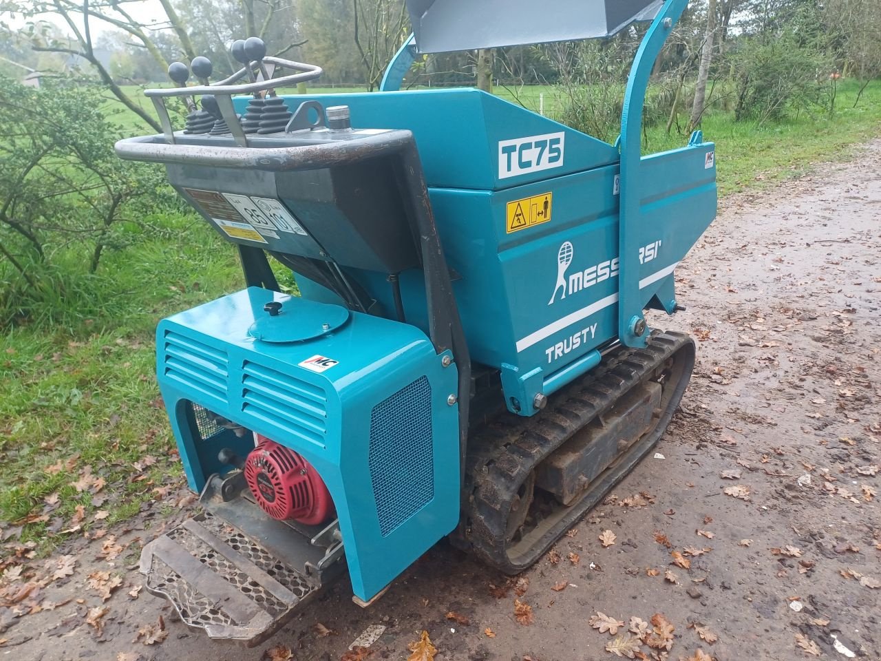 Raupendumper za tip Messersi CH-2/H315/MT, Gebrauchtmaschine u Terschuur (Slika 6)