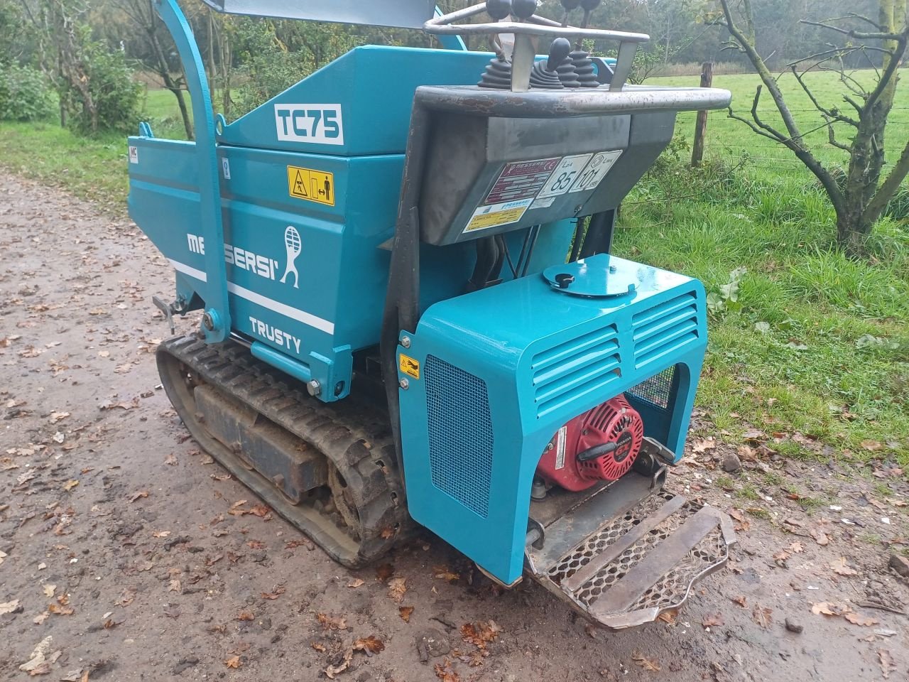 Raupendumper del tipo Messersi CH-2/H315/MT, Gebrauchtmaschine In Terschuur (Immagine 2)