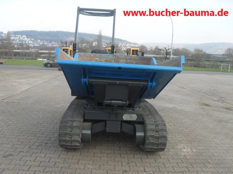 Raupendumper za tip Messersi TCH 2500, Gebrauchtmaschine u Obrigheim (Slika 4)