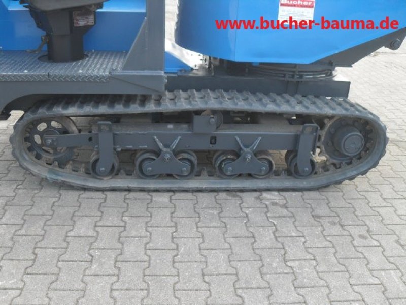 Raupendumper za tip Messersi TCH 2500, Gebrauchtmaschine u Obrigheim (Slika 8)