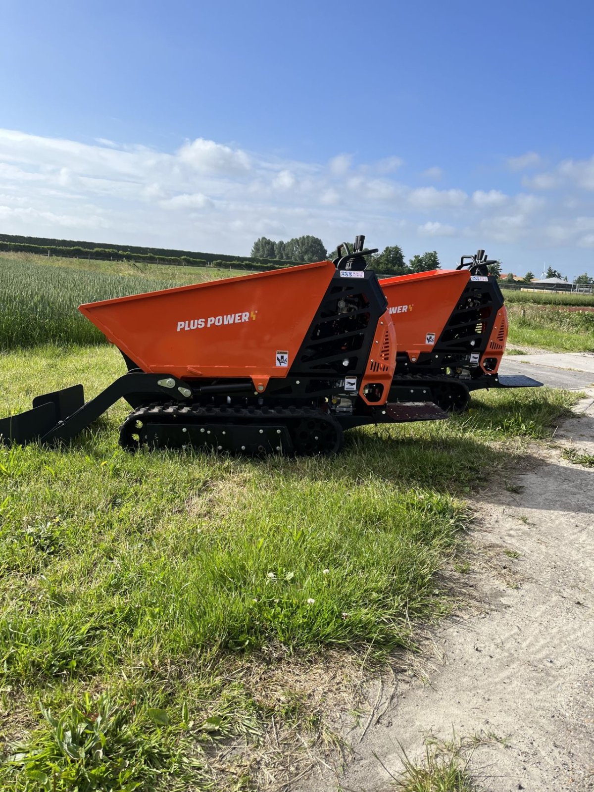 Raupendumper del tipo Sonstige Pluspower T 50 FL, Neumaschine en Bruinisse (Imagen 1)