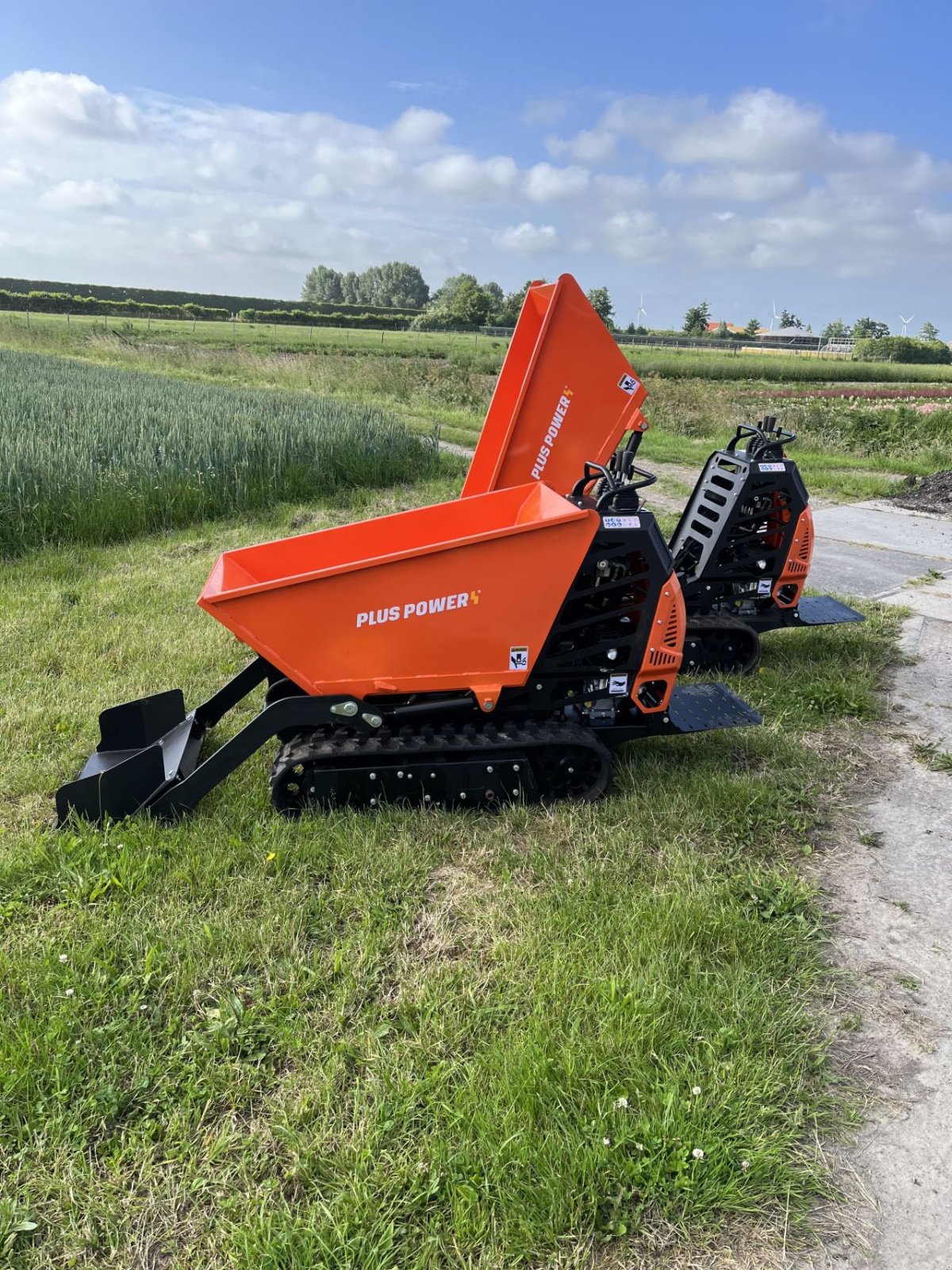 Raupendumper van het type Sonstige Pluspower T 50 FL, Neumaschine in Bruinisse (Foto 5)