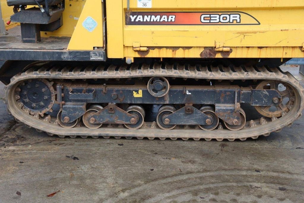 Raupendumper Türe ait Yanmar C30R-2B, Gebrauchtmaschine içinde Antwerpen (resim 11)