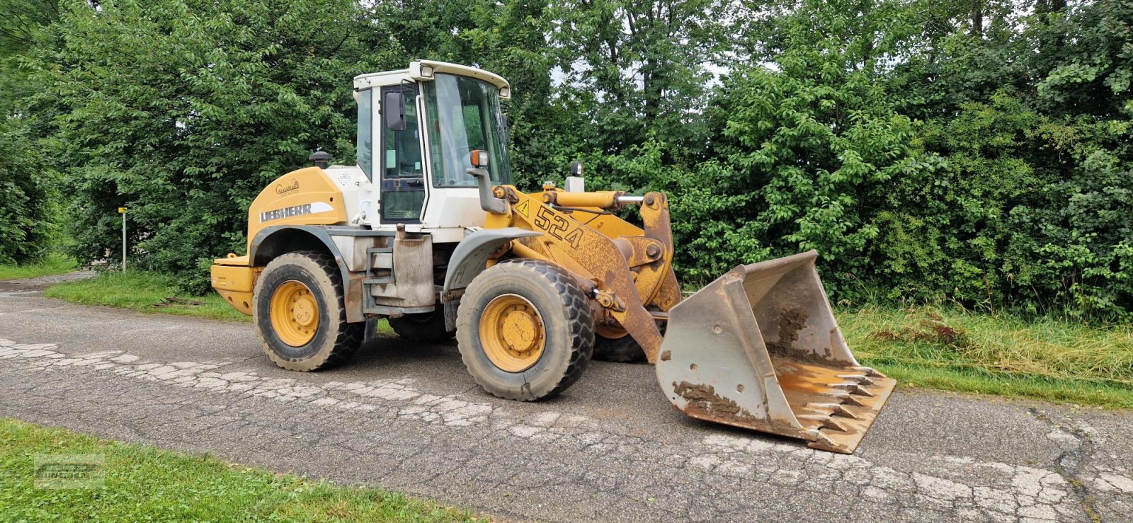 Reifen типа Michelin 17.5 R25, Gebrauchtmaschine в Deutsch - Goritz (Фотография 6)