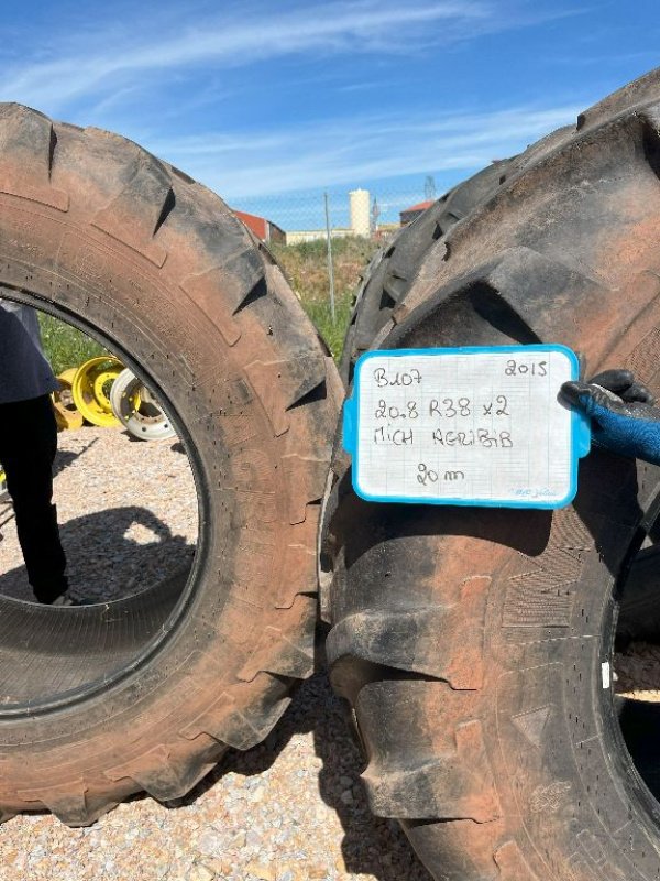 Reifen Türe ait Michelin AGRIBIB, Gebrauchtmaschine içinde Montpellier (resim 1)