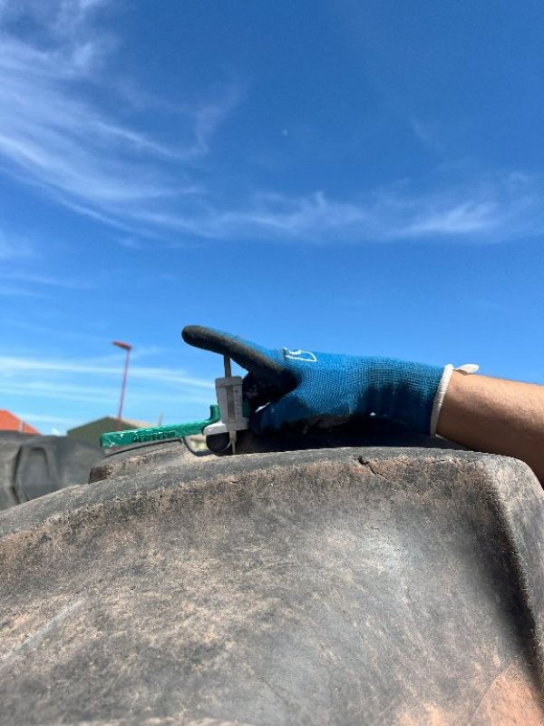 Reifen tip Michelin AGRIBIB, Gebrauchtmaschine in Montpellier (Poză 3)