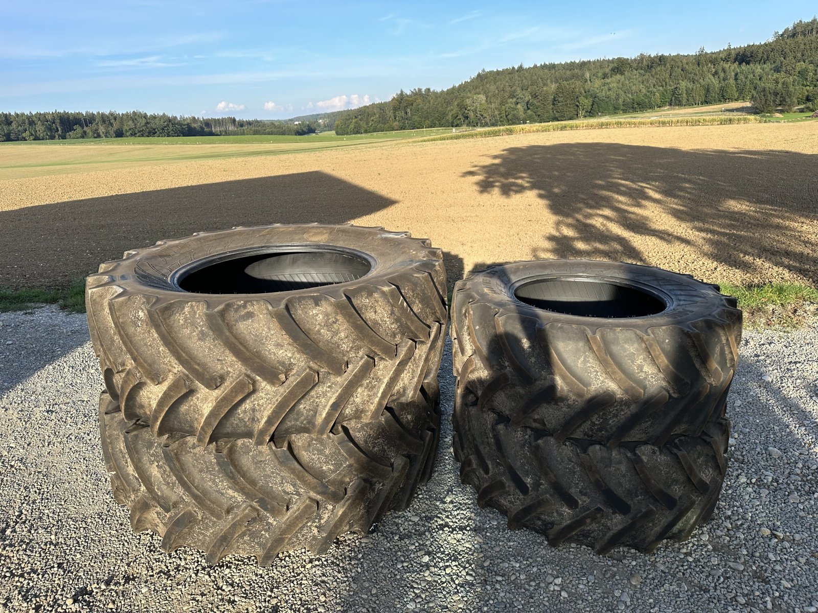 Reifen van het type Mitas 650/65 R 38, Gebrauchtmaschine in Mengkofen (Foto 1)