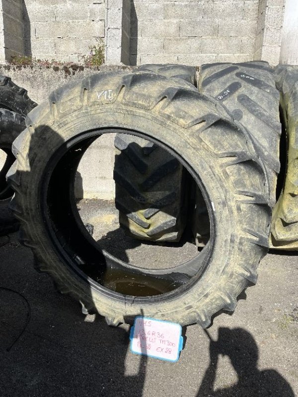 Reifen typu Pirelli TM 300, Gebrauchtmaschine v Montpellier (Obrázek 3)