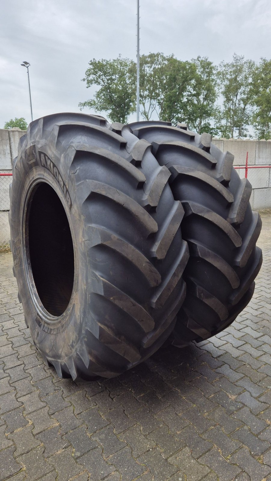 Reifen des Typs Sonstige MICHELIN AXIOBIB IF710/75R42 met 34mm, Gebrauchtmaschine in Schoonebeek (Bild 3)