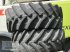 Reifen du type Trelleborg 480/65R28, Gebrauchtmaschine en Spelle (Photo 1)