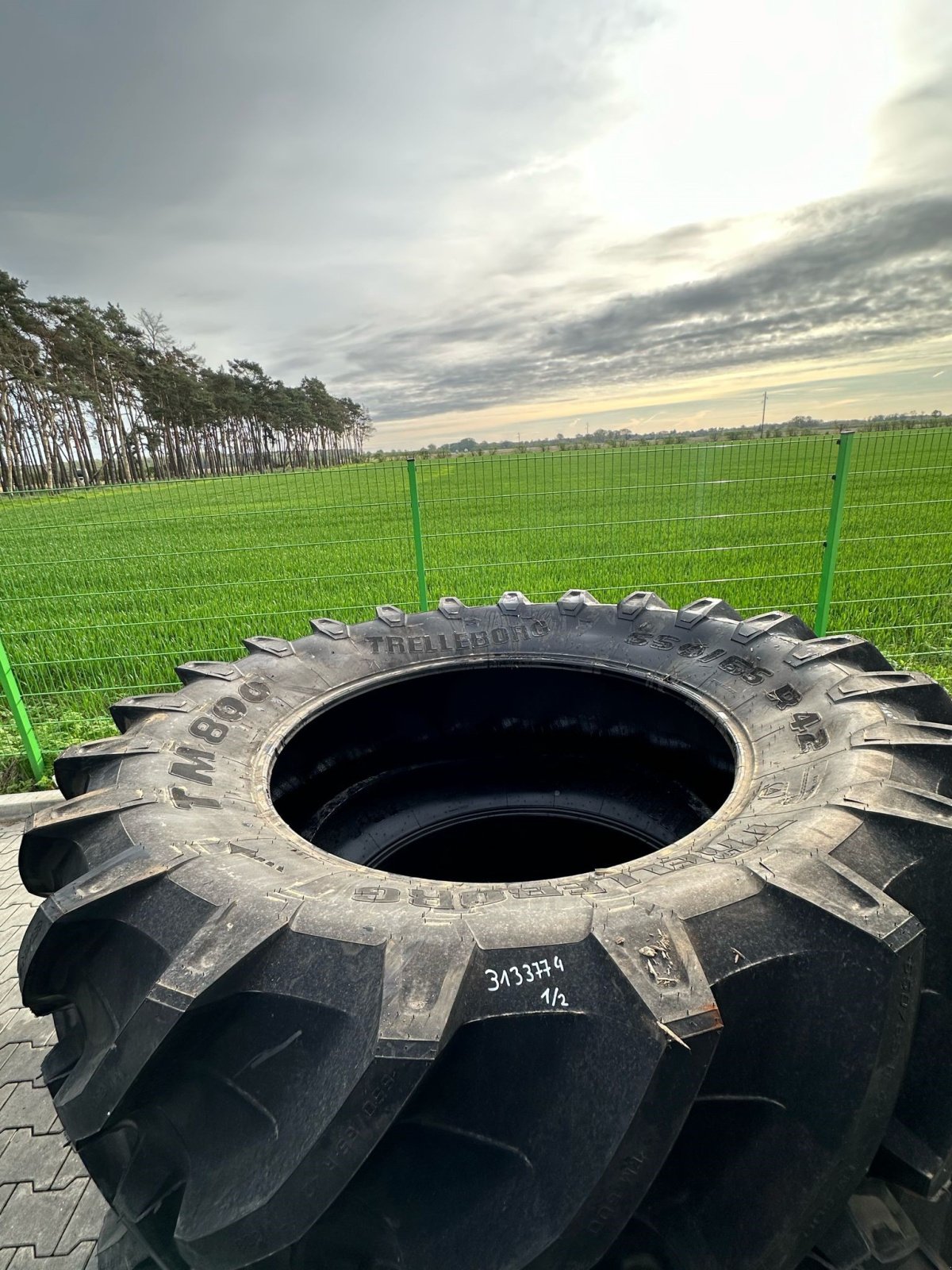 Reifen Türe ait Trelleborg 650/65R42 Reifen, Neumaschine içinde Hillerse (resim 3)