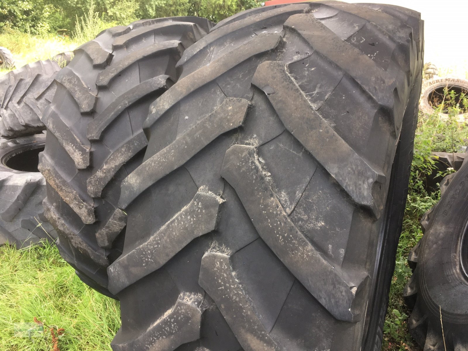 Reifen typu Trelleborg TM 800 650/65 R38, Gebrauchtmaschine v Marsberg (Obrázek 1)