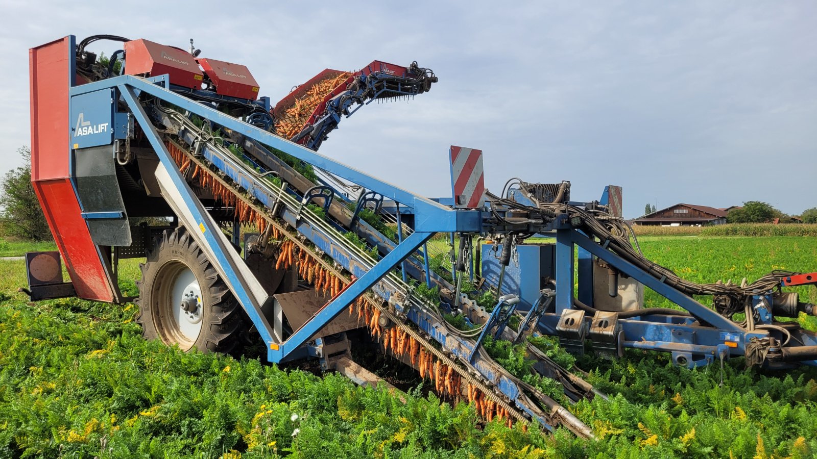 Roder van het type ASA-Lift T255 DF Klemmbandroder Asalift kein Dewulf, Gebrauchtmaschine in Hergolding (Foto 1)