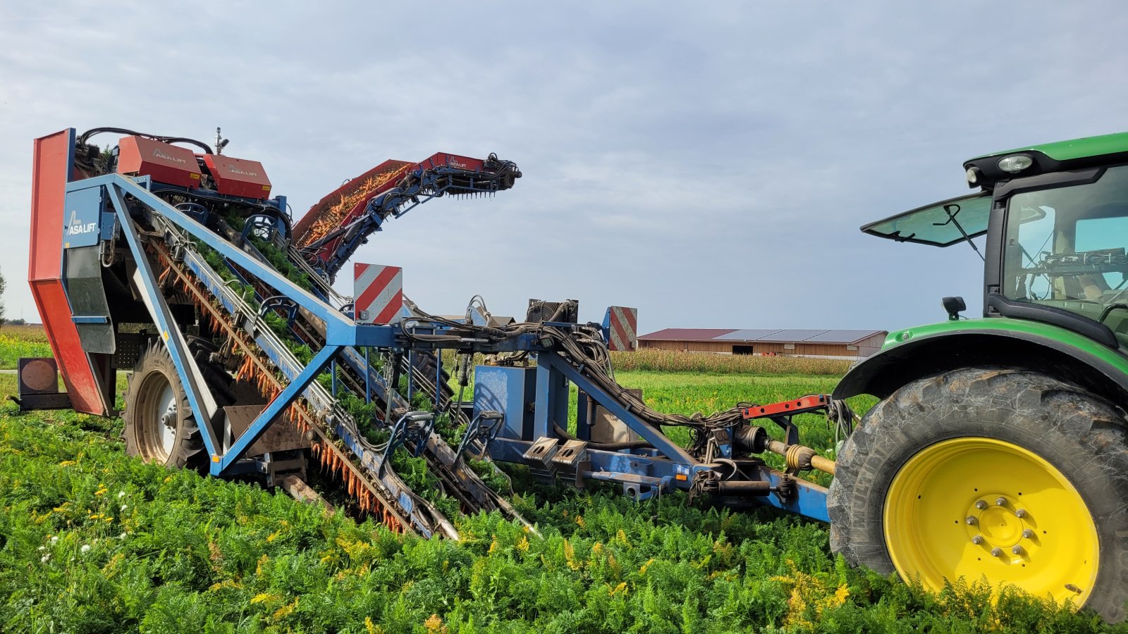 Roder van het type ASA-Lift T255 DF Klemmbandroder Asalift kein Dewulf, Gebrauchtmaschine in Hergolding (Foto 2)