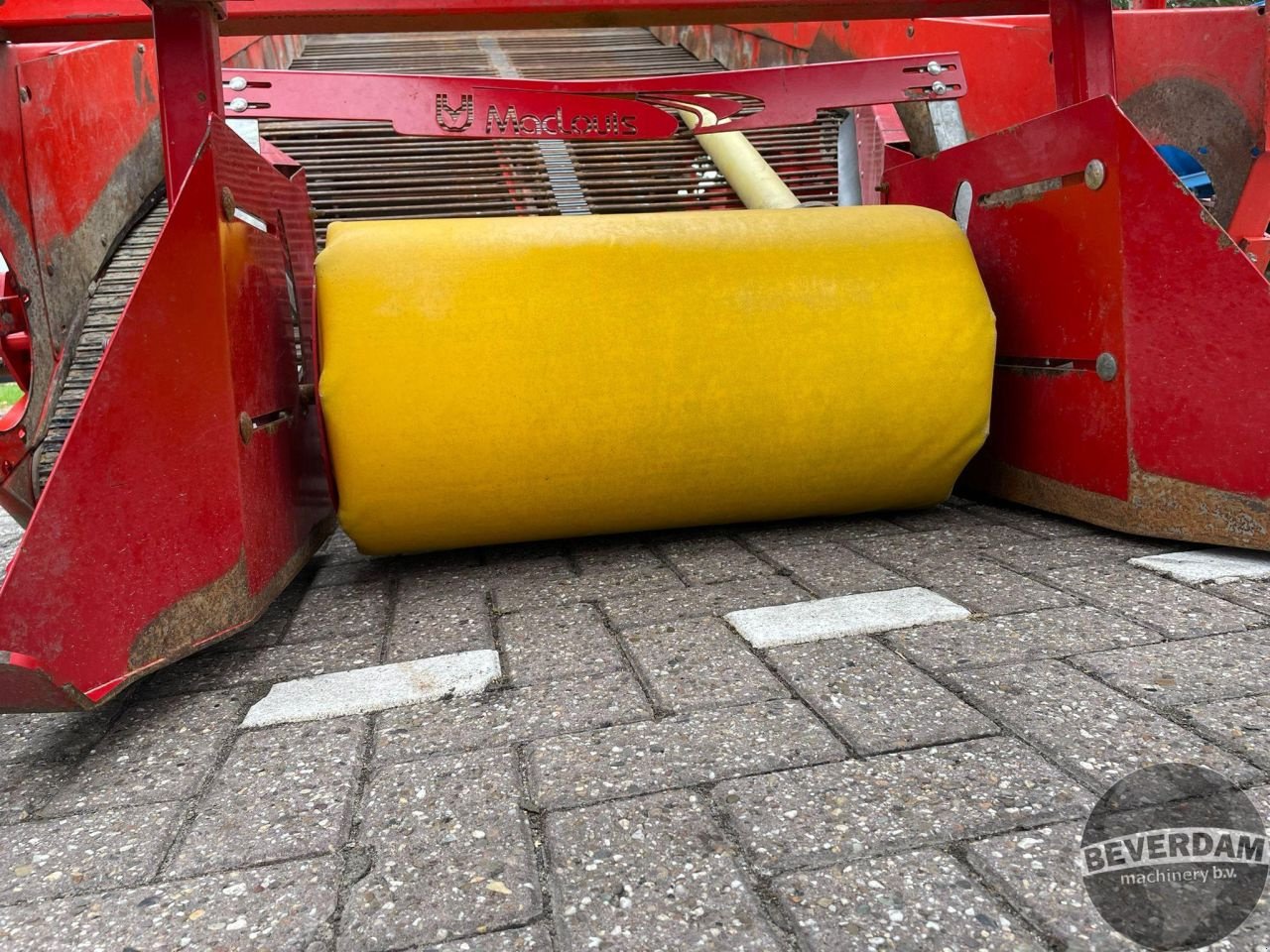 Roder of the type Grimme GZ 1700 DL1 uienrooier, Gebrauchtmaschine in Vriezenveen (Picture 8)