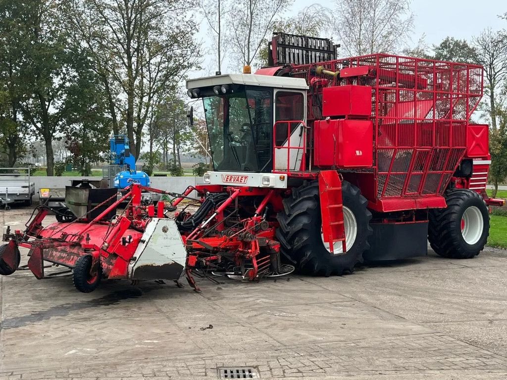 Roder of the type Vervaet T 12 Bietenrooier Zelfrijdende Bietenrooimachine, Gebrauchtmaschine in Ruinerwold (Picture 5)