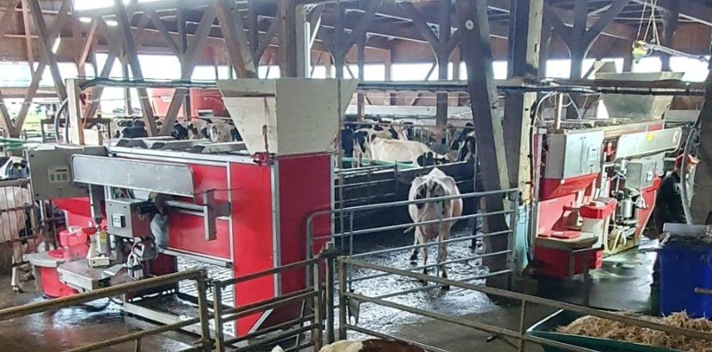 Rohrmelkanlage des Typs Lely A2 Linke und Rechte, Gebrauchtmaschine in Härkingen (Bild 10)